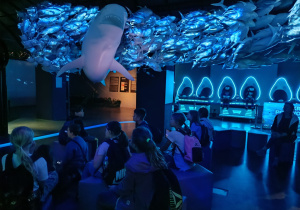 Podróż do Wrocławia