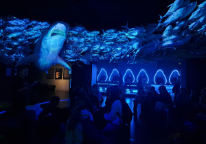 Podróż do Wrocławia